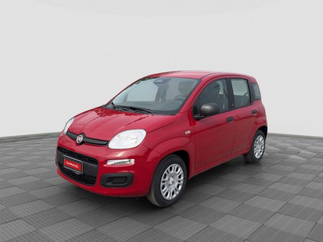 FIAT Panda usata 0