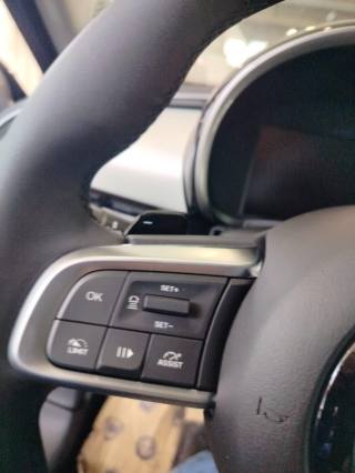 FIAT 600 usata, con Servosterzo