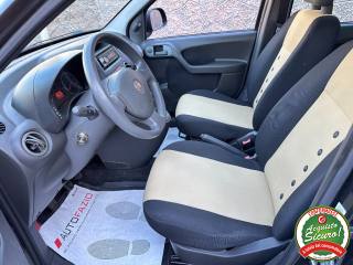 FIAT Panda usata, con Antifurto