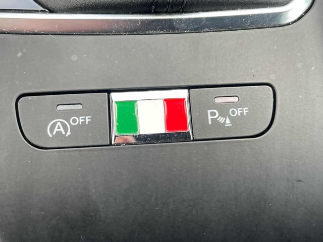 ALFA ROMEO Tonale usata 30