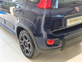 FIAT Panda usata, con Antifurto