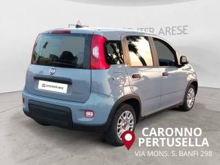 FIAT Panda usata, con Airbag Passeggero