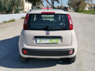 FIAT Panda usata 17