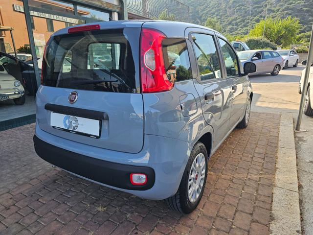 FIAT Panda usata, con Alzacristalli elettrici
