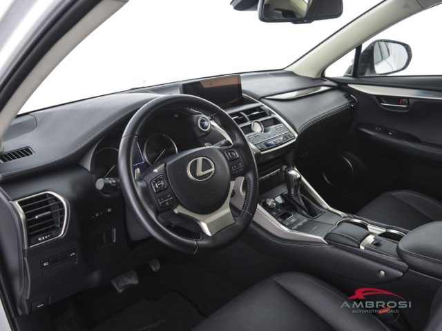 LEXUS NX 300h usata 7