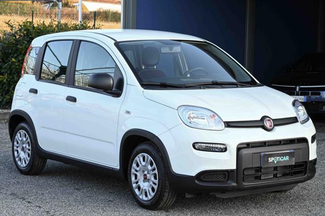 FIAT Panda usata, con Airbag Passeggero