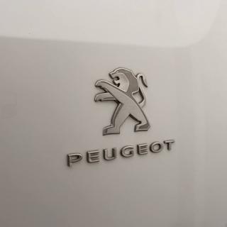 PEUGEOT Partner usata, con Isofix