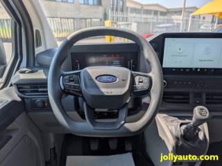 FORD Transit Custom usata, con Cruise Control