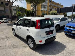 FIAT Panda usata, con Antifurto