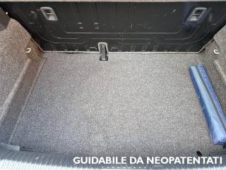 VOLKSWAGEN Polo usata, con Fendinebbia