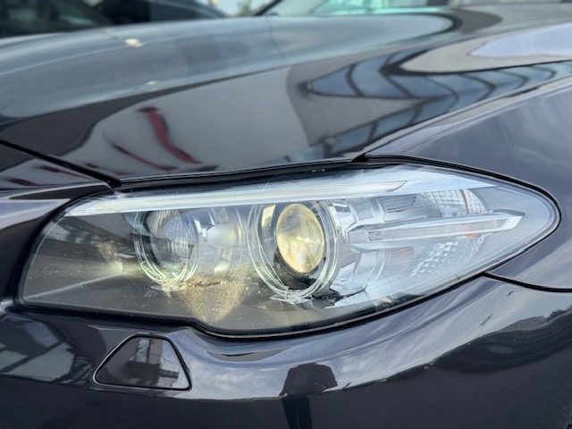 BMW 520 usata, con Fendinebbia
