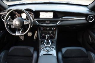 ALFA ROMEO Stelvio usata, con Cerchi in lega