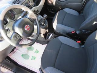 FIAT Panda usata, con Alzacristalli elettrici