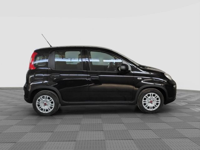 FIAT Panda usata 5