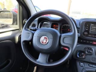 FIAT Panda usata 8