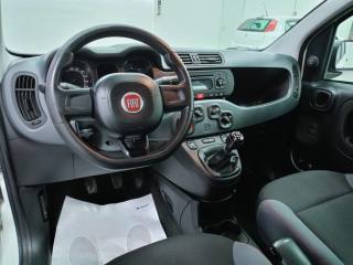 FIAT Panda usata, con Lettore CD