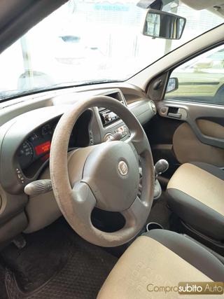 FIAT Panda usata 20