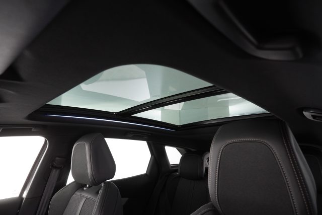 PEUGEOT 3008 usata 13