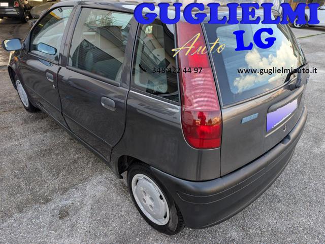 FIAT Punto usata 5