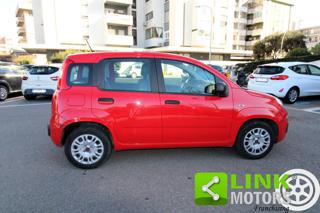 FIAT Panda usata 13