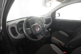 FIAT Panda usata 7