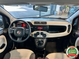 FIAT Panda usata, con Immobilizzatore elettronico
