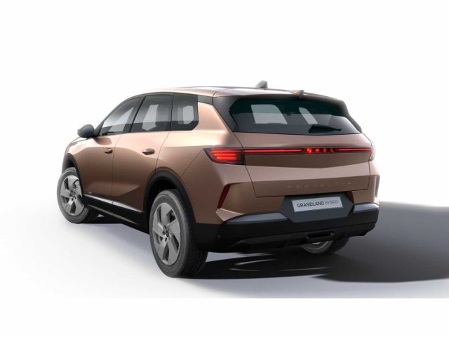 OPEL Grandland usata, con Autoradio