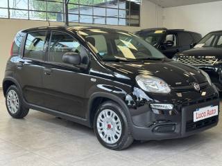 FIAT Panda usata, con Alzacristalli elettrici