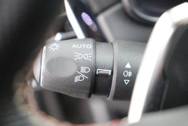 DS AUTOMOBILES DS 7 usata, con Immobilizzatore elettronico