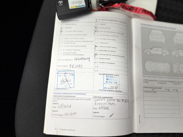 VOLKSWAGEN Polo usata 29