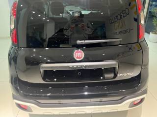 FIAT Pandina usata, con Cerchi in lega