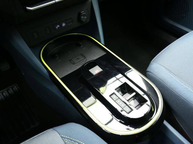 FIAT Grande Panda usata, con Controllo trazione