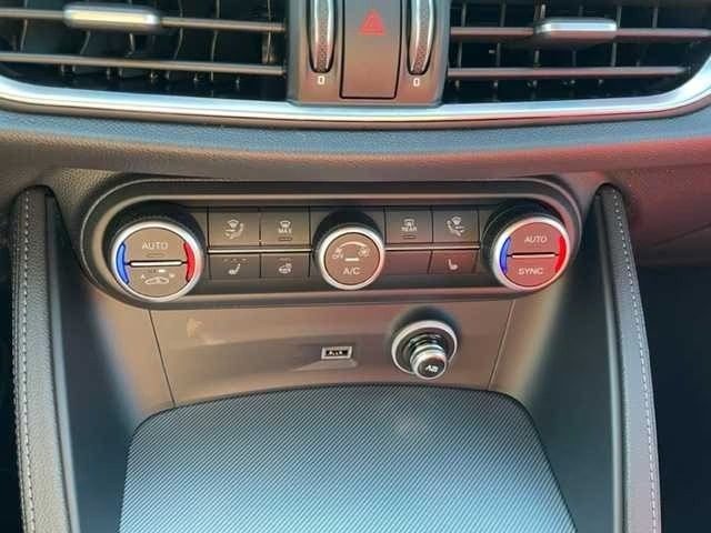 ALFA ROMEO Stelvio usata, con Climatizzatore