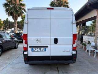 OPEL Movano usata, con Alzacristalli elettrici
