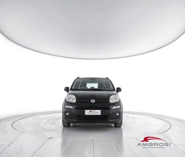 FIAT Panda usata 4
