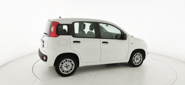 FIAT Panda usata 19
