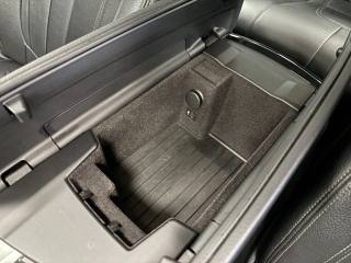 BMW 530 usata, con Controllo vocale