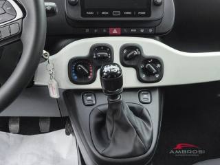 FIAT Panda usata 14