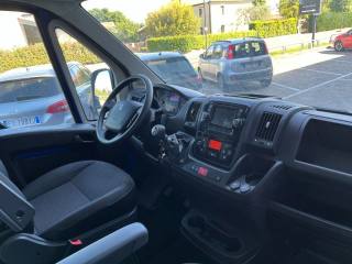 FIAT Ducato usata, con Cruise Control