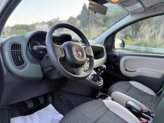FIAT Panda usata, con Fendinebbia
