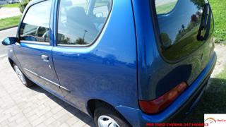 FIAT Seicento usata 37