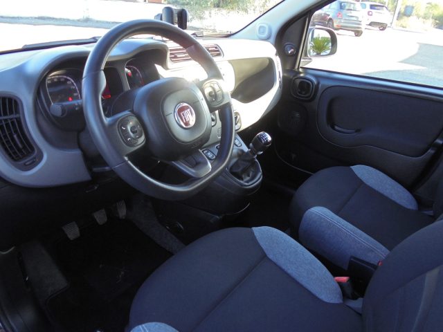 FIAT Panda usata 17