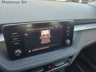 SKODA Fabia usata, con Fendinebbia