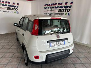 FIAT Panda usata, con Alzacristalli elettrici