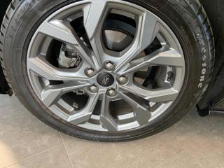 FORD Focus usata, con Servosterzo