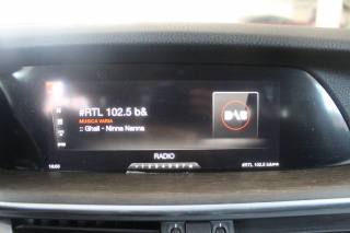 ALFA ROMEO Stelvio usata, con Fendinebbia