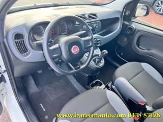 FIAT Panda usata, con Controllo trazione