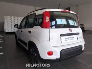 FIAT Panda usata, con Climatizzatore