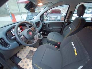 FIAT Panda usata, con Climatizzatore