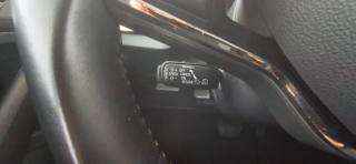 SKODA Scala usata 47